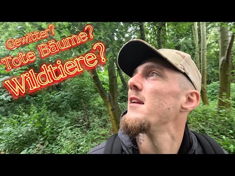 11 Aspekte für die richtige Lagerplatzwahl