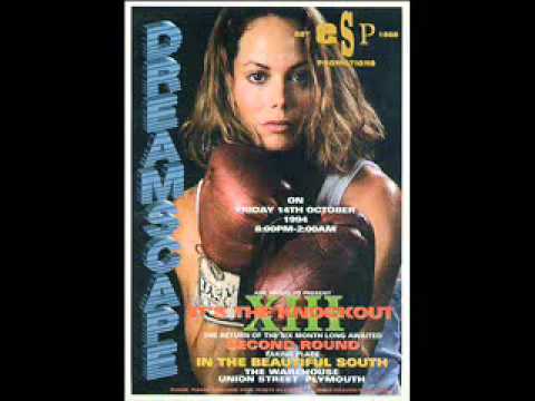 Dj Destruction Dreamscape 13