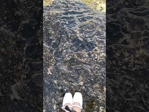 Я возьму тебя на море, возьму тебя на пляж ❤️ #jahkhalib #slowed #trending #море