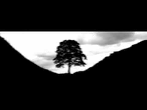 Talvekoidik -  The Tree Knows A Secret