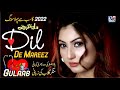 Dil De Mareez Gulaab Punjabi Sad Song Official Latest Punjabi Saraiki Songs
