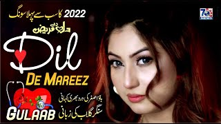 Dil De Mareez  Gulaab  Punjabi Sad Song official  