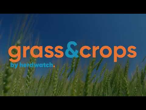 Herdwatch: Simplifying Farming video