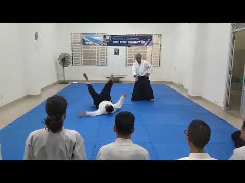 [Horii Etsuji Shihan] Katate-dori Irimi-nage
