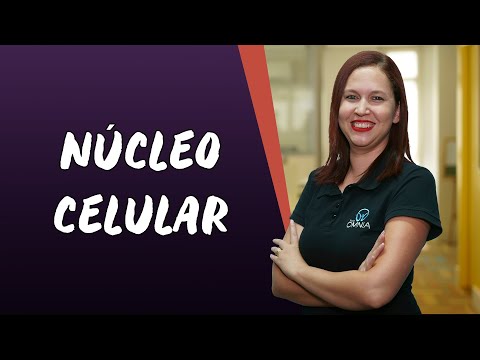 Cellular Nucleus - Brazil School