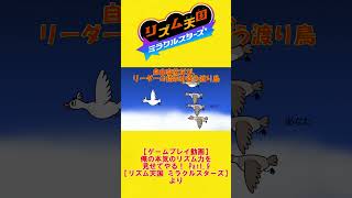 【リズム天国ミラクルスターズ】自由奔放だが、リーダーの指示は従う渡り鳥【わたり鳥】