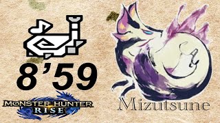 【MHRise】タマミツネ　狩猟笛ソロ　8’59