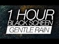 1 Hour Gentle Rain Sounds For Sleeping (Black Screen) - Relaxing 432Hz Sleep Meditation Music