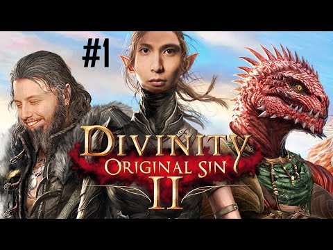 SingxGorgc CO-OP: Divinity ORIGINAL SIN II #1