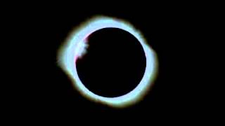 Trek With Quintronic - Wally and the Rich Kid