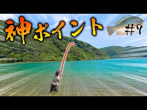 【＃７】規格外！10kg超えのマクブが釣れる神ポイントで釣り【“伝説の高級魚の魚拓“を狙え！】