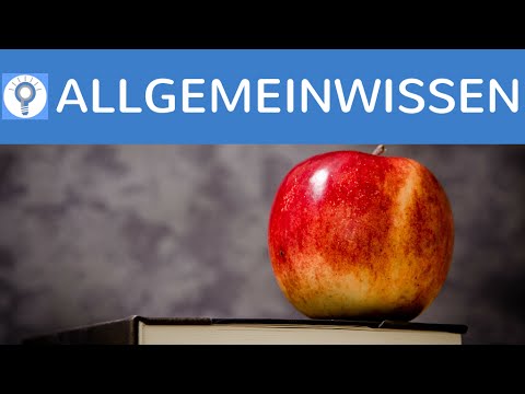 Spannendes Allgemeinwissen - einfach erkärt! – Die neue Serie! | Allgemeinwissen 1