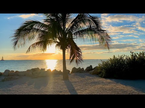 Summer Template - Final Cut Pro X Project Template