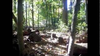 The Mountain Goats - Pale Green Things