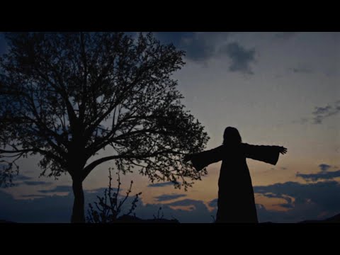 Χάρις Αλεξίου – Ψυχές και σώματα (Reworks) – Visualizer