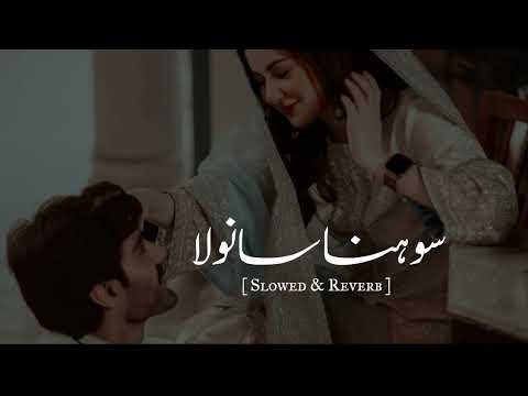 Sohna Sanwala | Slowed & Reverb | Shafaullah Khan Rokhri