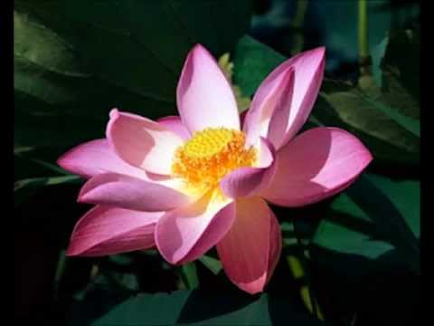 The Metta Sutta (English)