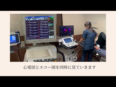 運動負荷心エコー図検査の手順