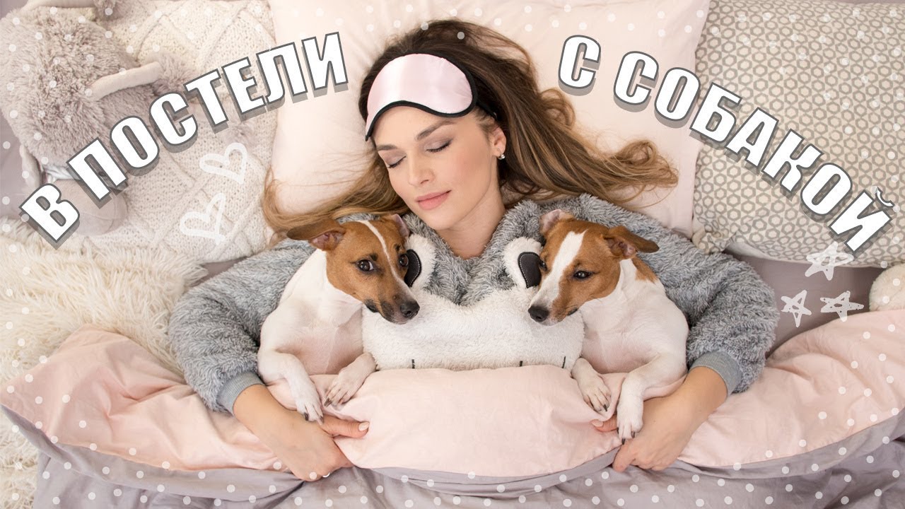 YouTube video preview