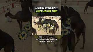 낙타 미모 대회 그게 뭔데?｜크랩