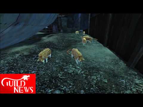 Safari durch Tyria #21 Katzenraum in der Schwarzen Zitadelle