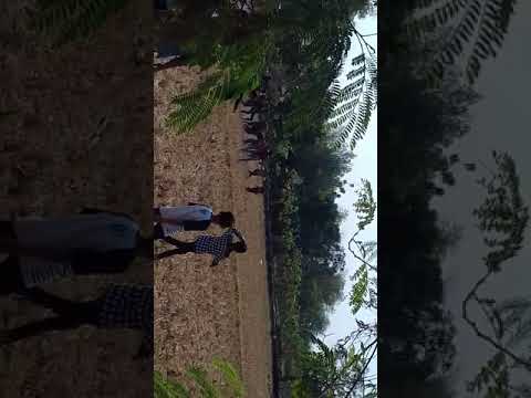 Tawuran new pallapa harjowinangun