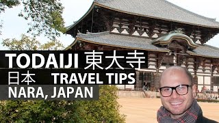 preview picture of video 'Visiting Todaiji Temple in Nara 奈良で東大寺を訪問'