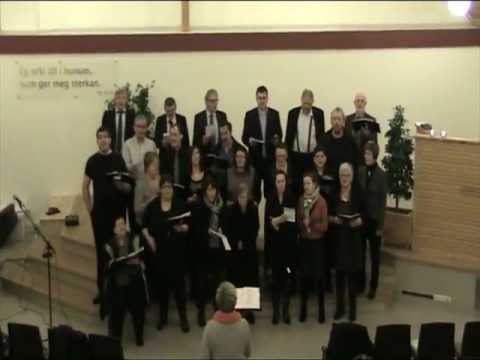 2012-01-22 Missiónsvika - Húsakórið 2.MOD