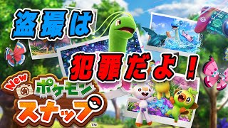 ポケモンを盗撮するゲームがあるらしい【Newポケモンスナップ女性実況】