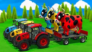 MASSIVE COW TRANSPORT with CLAAS TRACTORS & JCB TELEHANDLERS 🚜🐮 Heavy Farm Convoy FS25