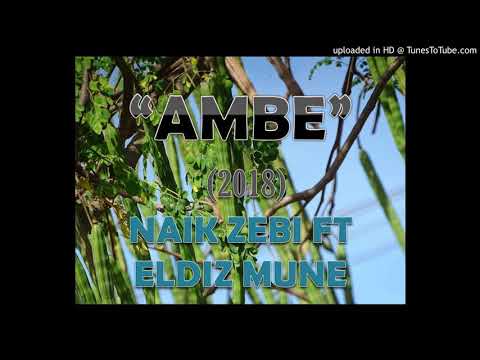 Ambe_Naik Zebi ft Eldiz Mune 2018
