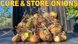 How To Harvest, Cure And Store ONIONS For Up To A Year