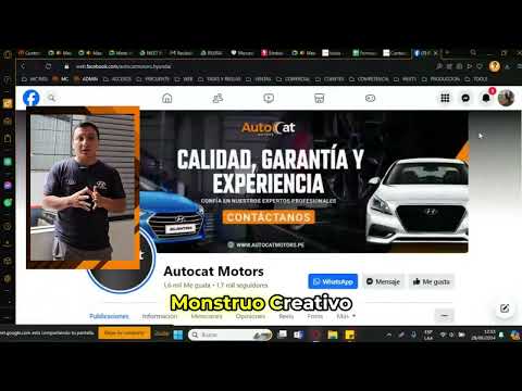 Video preview