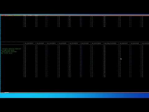 Video 1