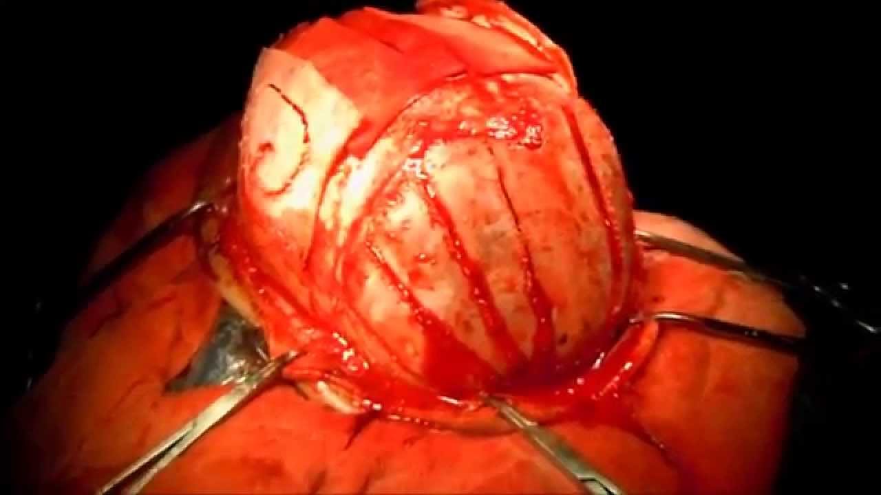 Carlos Alfonso Rodríguez Alvarez-10