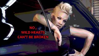 PINK * Wild Hearts Can&#39;t Be Broken   ( Audio/Lyrics ) 2017