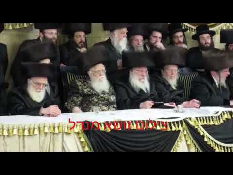 Shatz Viznitz Wedding - Sivan 5782