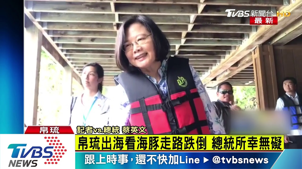 看海豚吃冰塊太快樂 蔡英文「慘摔」:沒問題的啦!