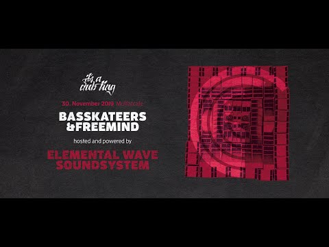 IT'S A DUB TING JOURNEY   Basskateers ft. Konta, Tom Spirals, Kali Green - Steppin' Out
