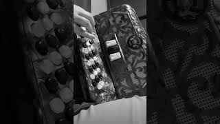 Miel Amarga— Pesado/Tremendos Gavilanes