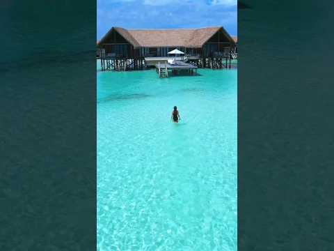 Beautiful Maldives in the 5* resort Como Cocoa Island 🤩🏝️ #maldives #luxurytravel #bestresorts