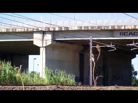 Intercity periodico 1590