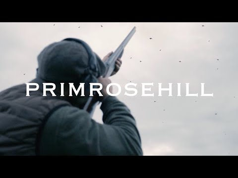Primrosehill, Berwickshire. Pheasant and Partridge Shooting.