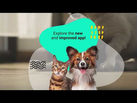 11pets: Pet care Video