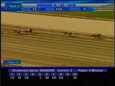 Resumen Domingo 14 de Febrero 2010 - La Rinconada