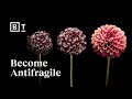 Don T Chase Happiness Become Antifragile Tal Ben Shahar Big Think