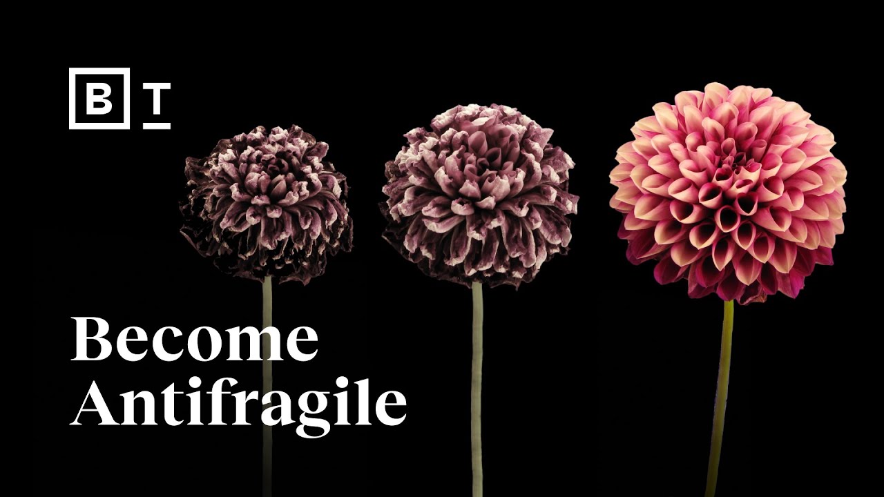 Week 30: Become antifragile | Tal Ben-Shahar | Big Think
