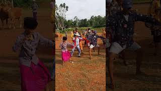 Download lagu tarian khas  kontes sapi sonok madura mp3