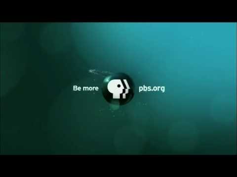 PBS Network ID 2009-Present