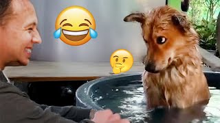 Miniature vidéo